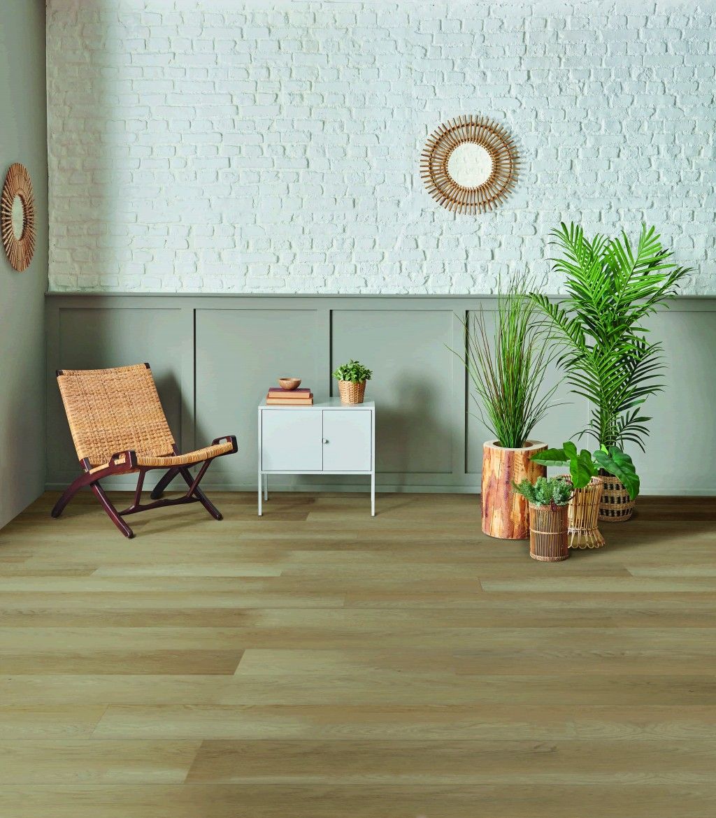 Sonata - Beauvais Planks